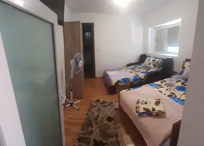 Guest house Casa Floresita 3*